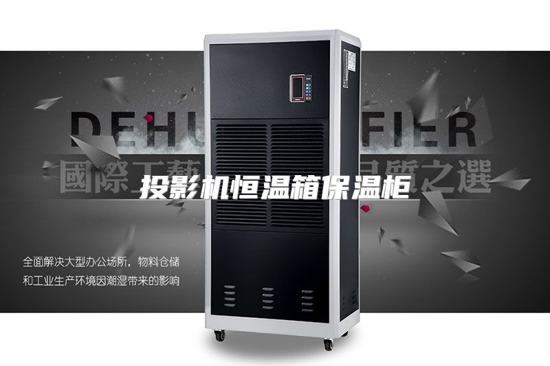 投影机恒温箱保温柜