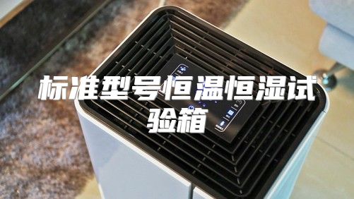 标准型号恒温恒湿试验箱