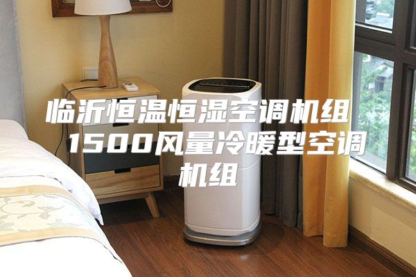 临沂恒温恒湿空调机组  1500风量冷暖型空调机组