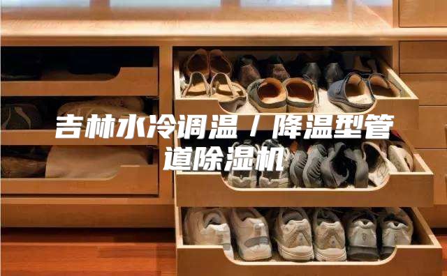 吉林水冷调温／降温型管道除湿机