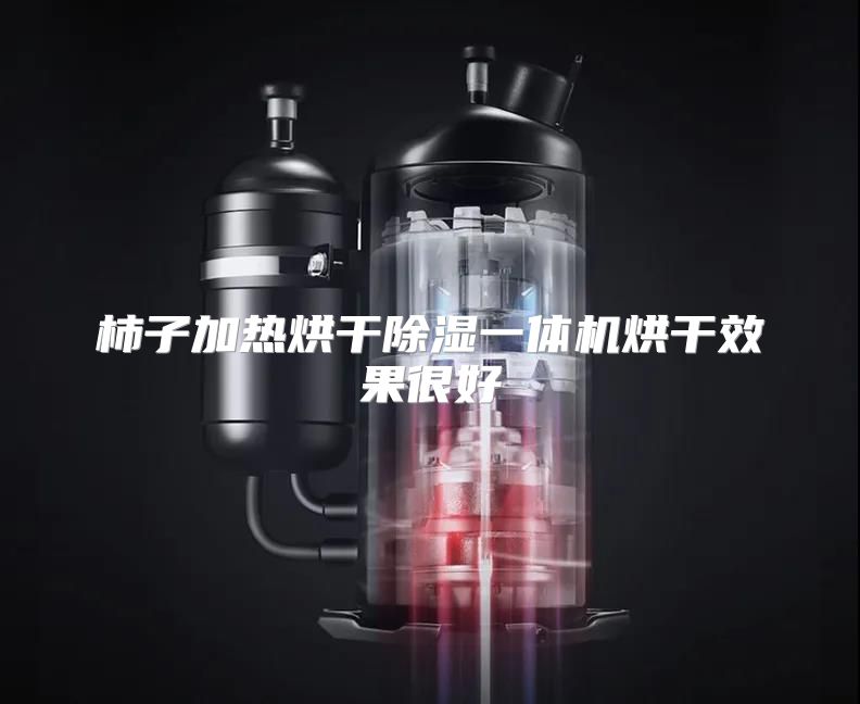 柿子加热烘干除湿一体机烘干效果很好