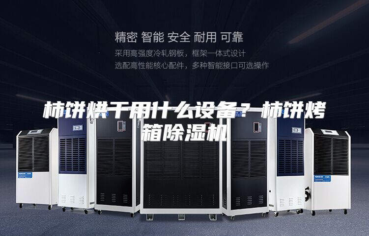 柿饼烘干用什么设备？柿饼烤箱除湿机