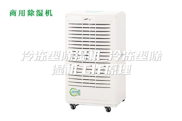 冷冻型除湿机_冷冻型除湿机工作原理