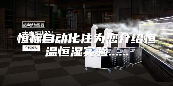恒标自动化注为您介绍恒温恒湿实验......