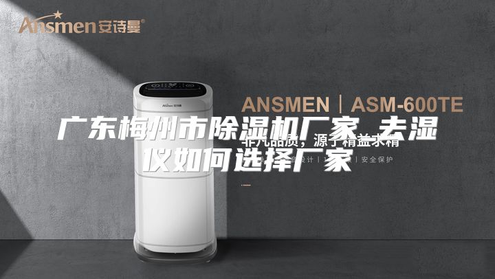 广东梅州市除湿机厂家_去湿仪如何选择厂家
