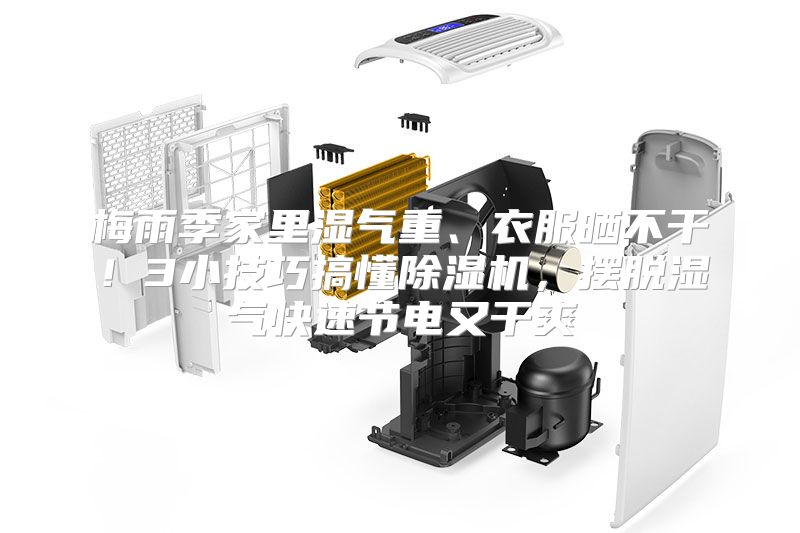 梅雨季家里湿气重、衣服晒不干！3小技巧搞懂除湿机，摆脱湿气快速节电又干爽