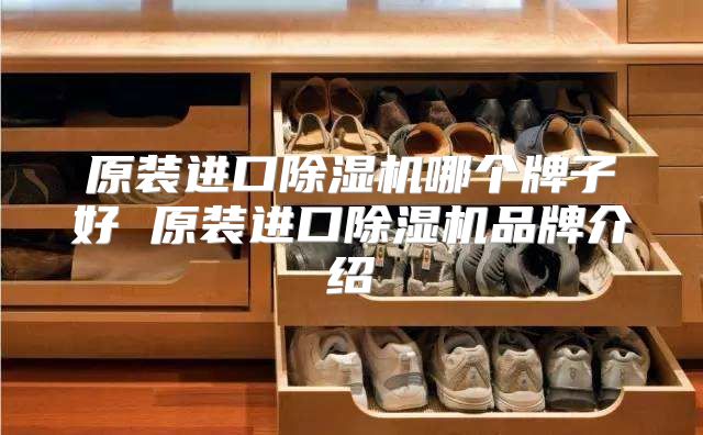 原装进口除湿机哪个牌子好 原装进口除湿机品牌介绍