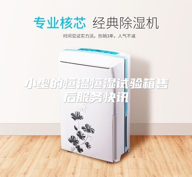 小型的恒温恒湿试验箱售后服务快讯