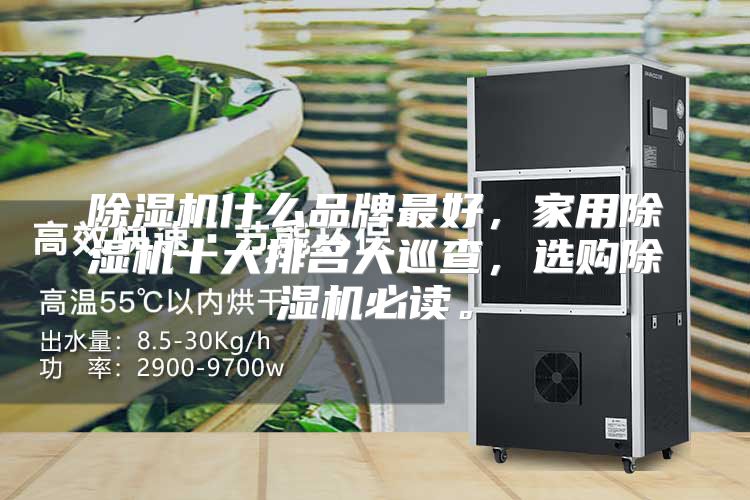 除湿机什么品牌最好，家用除湿机十大排名大巡查，选购除湿机必读。