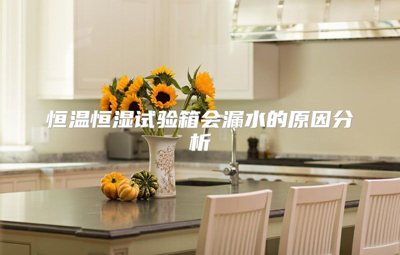 恒温恒湿试验箱会漏水的原因分析
