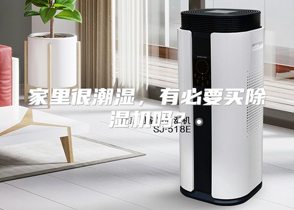 家里很潮湿，有必要买除湿机吗？