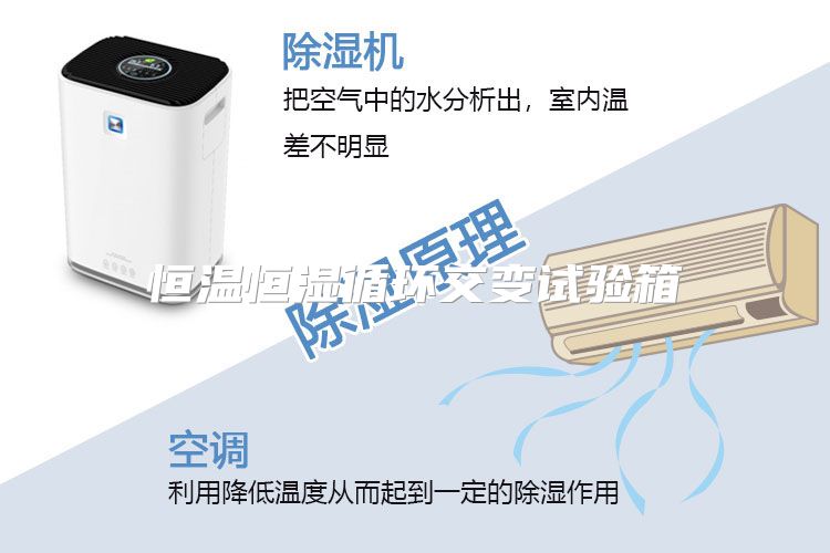 恒温恒湿循环交变试验箱