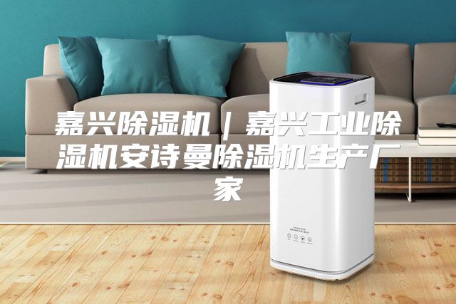 嘉兴除湿机｜嘉兴工业除湿机安诗曼除湿机生产厂家