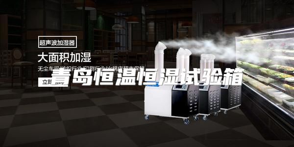 青岛恒温恒湿试验箱