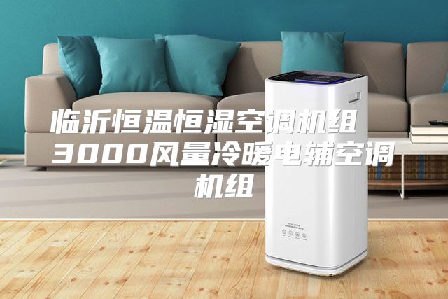 临沂恒温恒湿空调机组  3000风量冷暖电辅空调机组