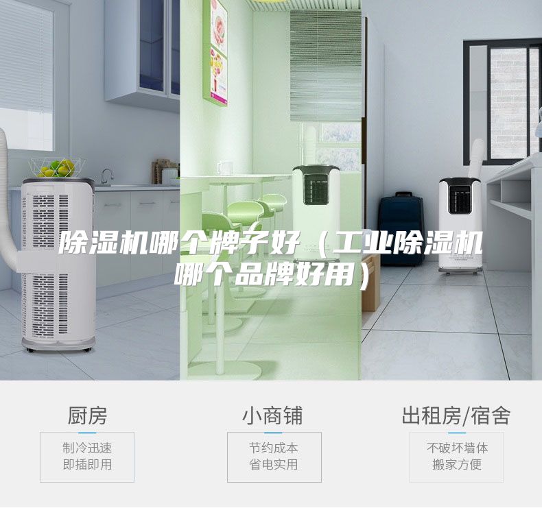 除湿机哪个牌子好（工业除湿机哪个品牌好用）