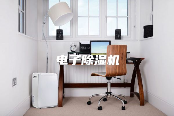 电子除湿机