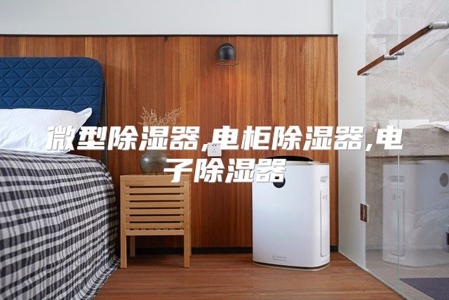微型除湿器,电柜除湿器,电子除湿器