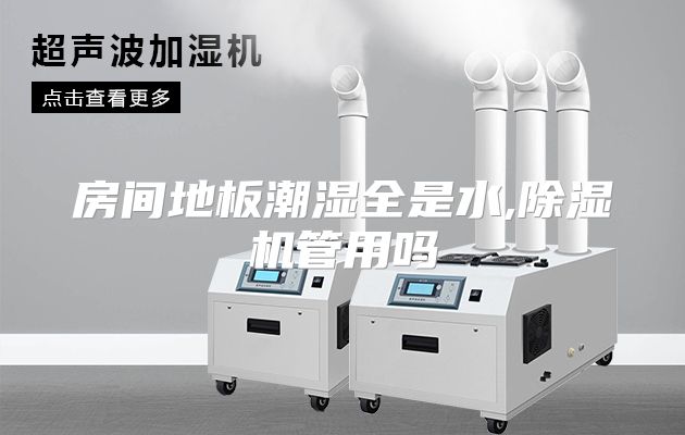 房间地板潮湿全是水,除湿机管用吗