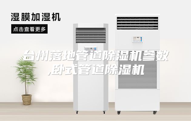 台州落地管道除湿机参数,卧式管道除湿机