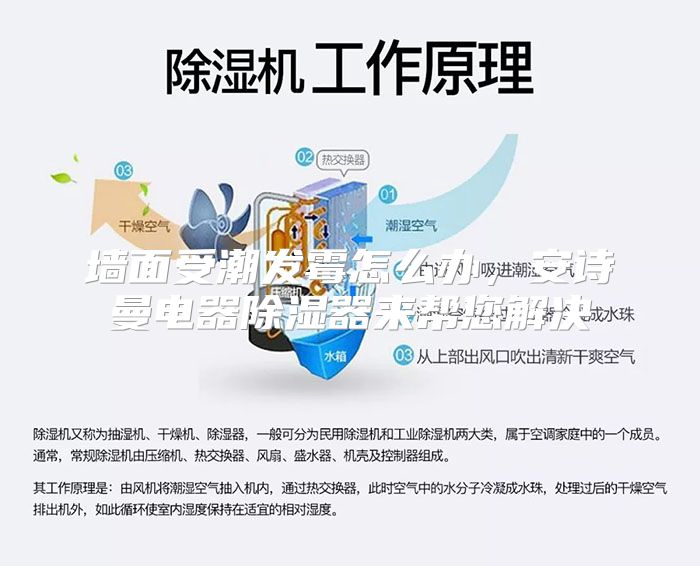 墙面受潮发霉怎么办,安诗曼电器除湿器来帮您解决