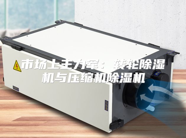 市场上主力军：转轮除湿机与压缩机除湿机