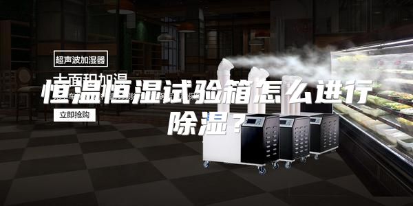 恒温恒湿试验箱怎么进行除湿？