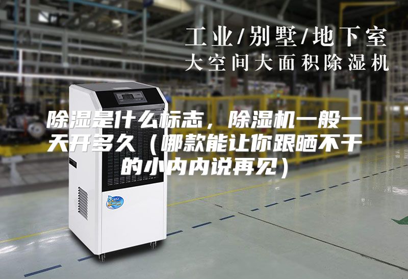 除湿是什么标志,除湿机一般一天开多久(哪款能让你跟晒不干的小内内说再见)