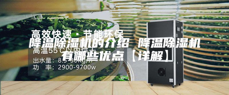 降温除湿机的介绍 降温除湿机有哪些优点【详解】