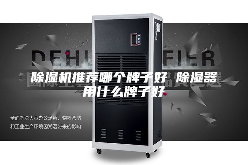 除湿机推荐哪个牌子好 除湿器用什么牌子好