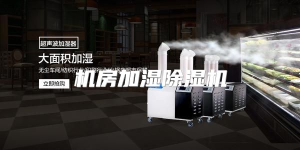 机房加湿除湿机
