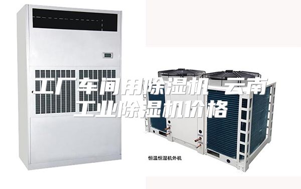 工厂车间用除湿机 云南工业除湿机价格