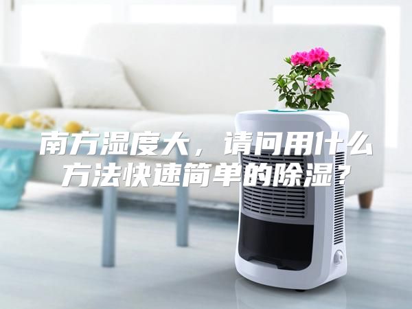 南方湿度大,请问用什么方法快速简单的除湿?