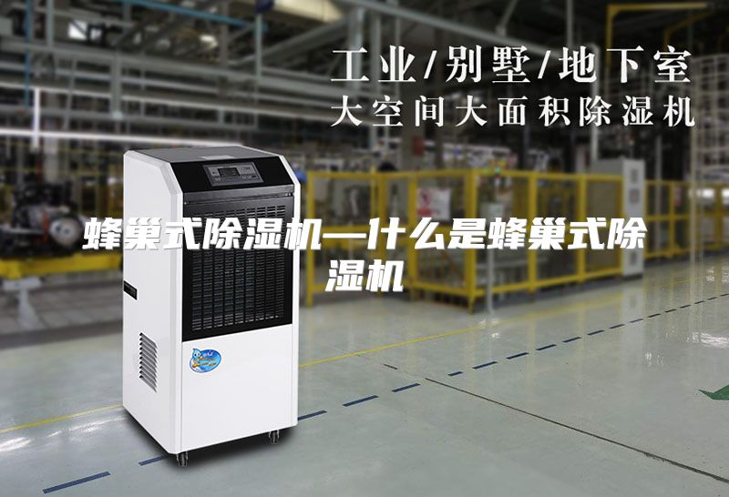 蜂巢式除湿机—什么是蜂巢式除湿机