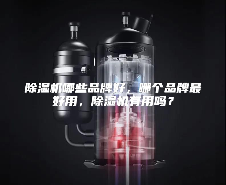 除湿机哪些品牌好，哪个品牌最好用，除湿机有用吗？