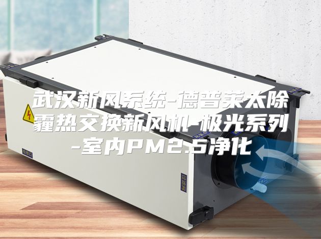 武汉新风系统-德普莱太除霾热交换新风机-极光系列-室内PM2.5净化