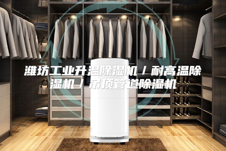 潍坊工业升温除湿机／耐高温除湿机／吊顶管道除湿机