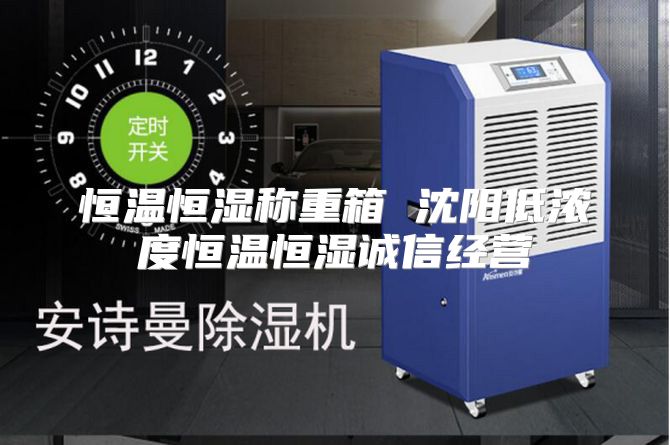 恒温恒湿称重箱 沈阳低浓度恒温恒湿诚信经营