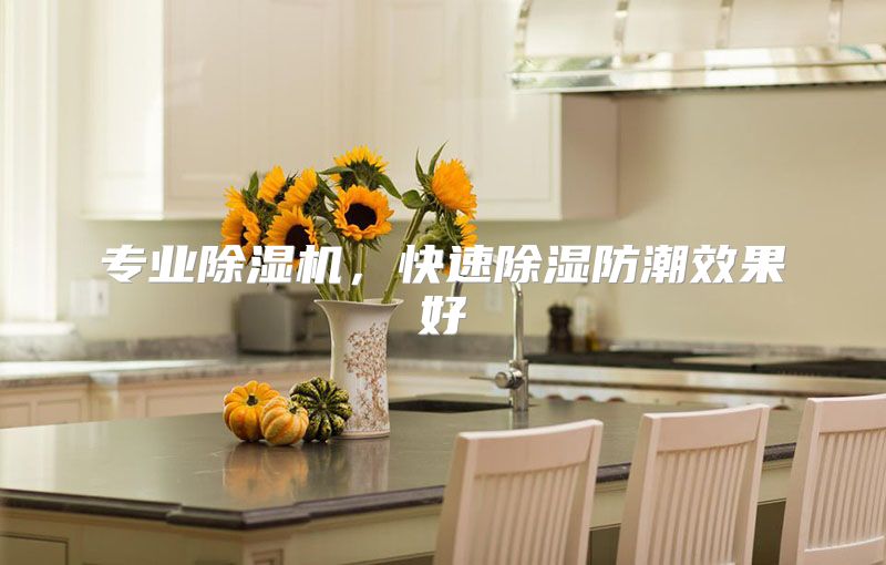 专业除湿机，快速除湿防潮效果好