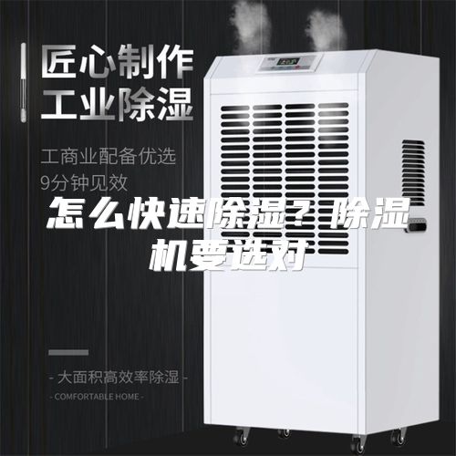 怎么快速除湿？除湿机要选对
