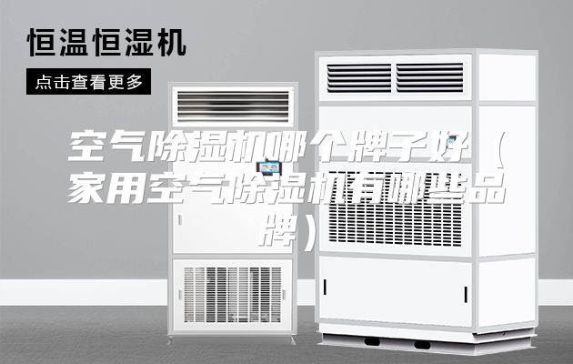 空气除湿机哪个牌子好（家用空气除湿机有哪些品牌）