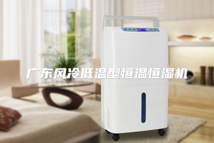 广东风冷低温型恒温恒湿机