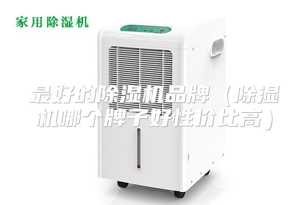最好的除湿机品牌（除湿机哪个牌子好性价比高）