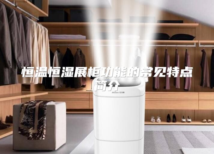 恒温恒湿展柜功能的常见特点简介