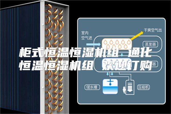 柜式恒温恒湿机组 通化恒温恒湿机组 欢迎订购