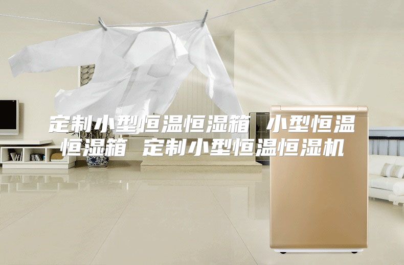 定制小型恒温恒湿箱 小型恒温恒湿箱 定制小型恒温恒湿机