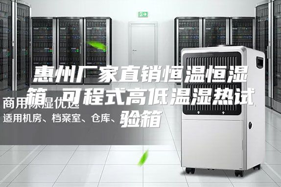 惠州厂家直销恒温恒湿箱 可程式高低温湿热试验箱
