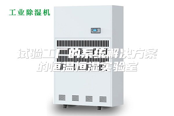 试验工厂的系统解决方案的恒温恒湿实验室