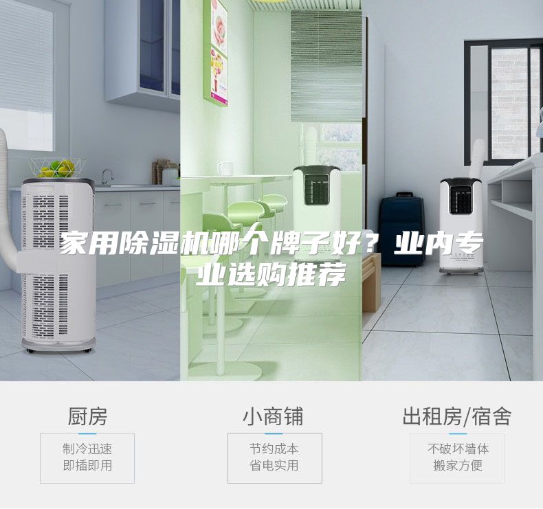 家用除湿机哪个牌子好？业内专业选购推荐