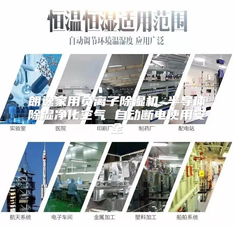 朗逸家用负离子除湿机 半导体除湿净化空气 自动断电使用安全